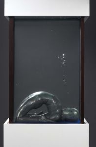 L’AQUARIUM L’AQUARIUM