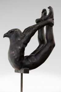 CONTORSIONNISTE AIGLE CONTORSIONNISTE AIGLE