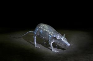 LE RAT LE RAT