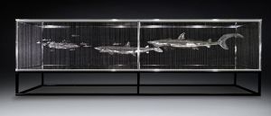 AQUARIUM AQUARIUM