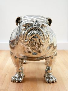 BULLDOG MÂLE BULLDOG MÂLE