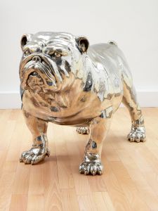BULLDOG FEMELLE BULLDOG FEMELLE