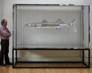 BARRACUDA BARRACUDA