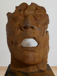 LE VESTIGE (2010) LE VESTIGE (2010)
