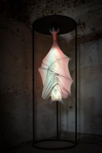 CHAUVE-SOURIS CHAUVE-SOURIS
