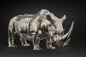 RHINOCÉROS-PHACOCHÈRE RHINOCÉROS-PHACOCHÈRE