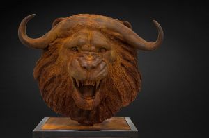 TÊTE LION-BUFFLE TÊTE LION-BUFFLE