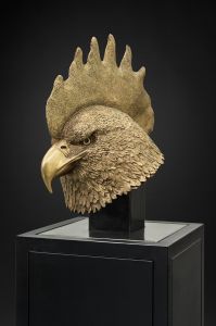 TÊTE D'AIGLE-COQ TÊTE D'AIGLE-COQ