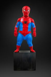SPIDERMAN SPIDERMAN