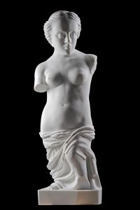 VENUS VENUS