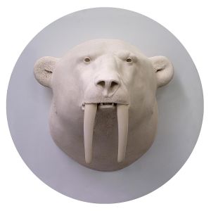 TÊTE OURS-MORSE TÊTE OURS-MORSE
