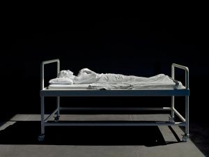 GISANT (2011) GISANT (2011)