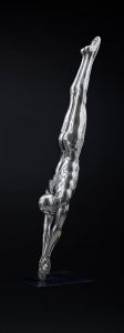HOMME PLONGEON (2008) HOMME PLONGEON (2008)
