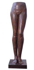 LES JAMBES LES JAMBES