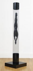 PETIT PLONGEON ( 2007) PETIT PLONGEON ( 2007)