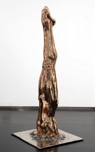 PLONGEON HOMME (2009) PLONGEON HOMME (2009)