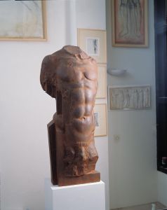 TORSE HOMME TORSE HOMME