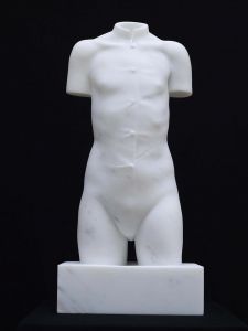 TORSE ADOLESCENT TORSE ADOLESCENT