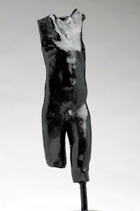 TORSE UNIVERSEL TORSE UNIVERSEL