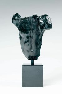 TORSE HOMME TORSE HOMME