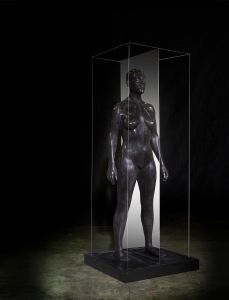 SCISSION : FEMME ENCEINTE SCISSION : FEMME ENCEINTE