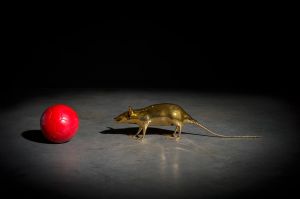 PETIT RAT PETIT RAT