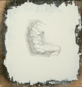 TORSE D’HOMME TORSE D’HOMME