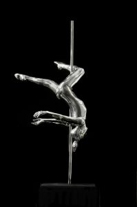 POLE-DANCE 12 POLE-DANCE 12
